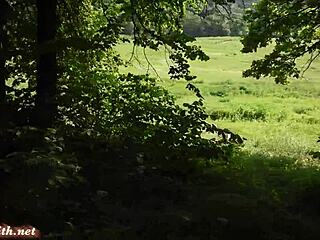 Voajer in forest porno